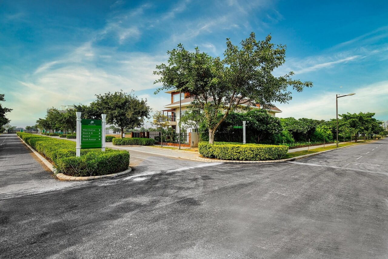 dlf-plots-gurgaon